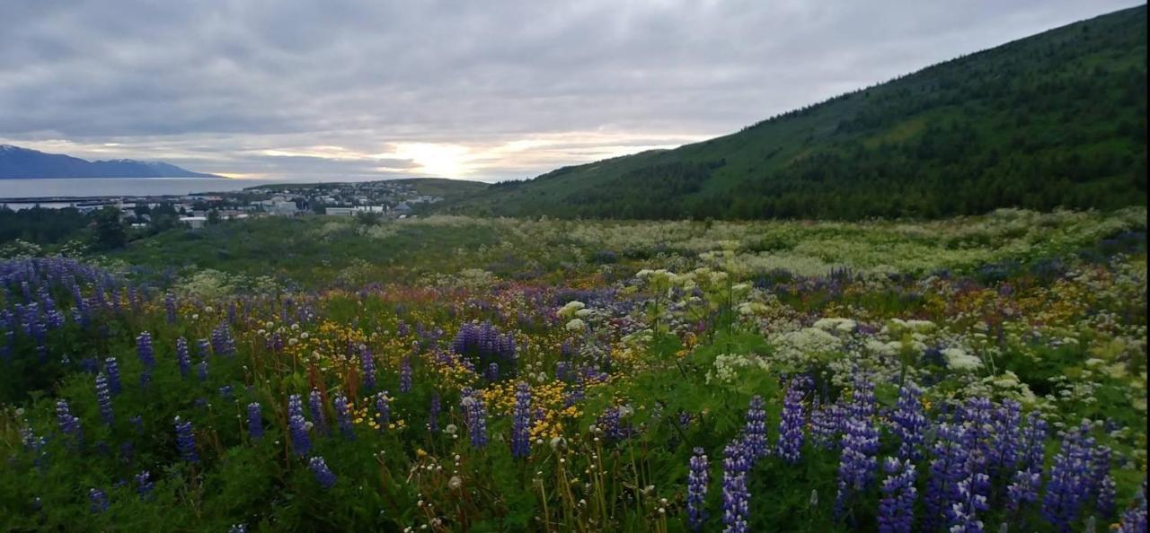 B&B Rooms Husavik 3 Ngoại thất bức ảnh